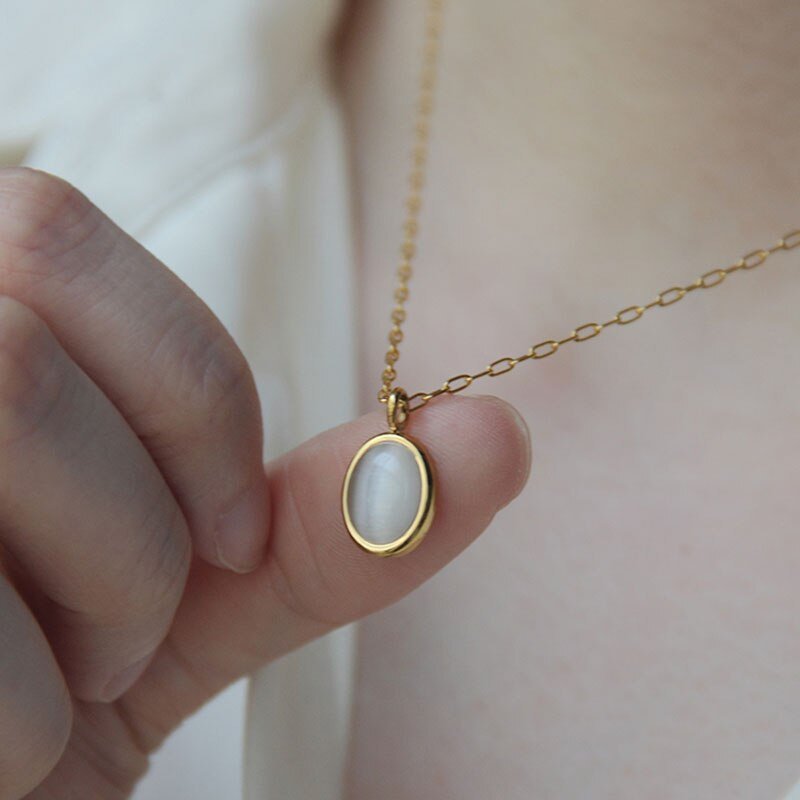 Titanium Clavicle Chain - Good Life Goods